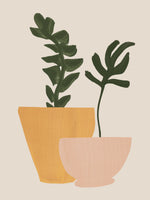 framedcanvas-print-planted