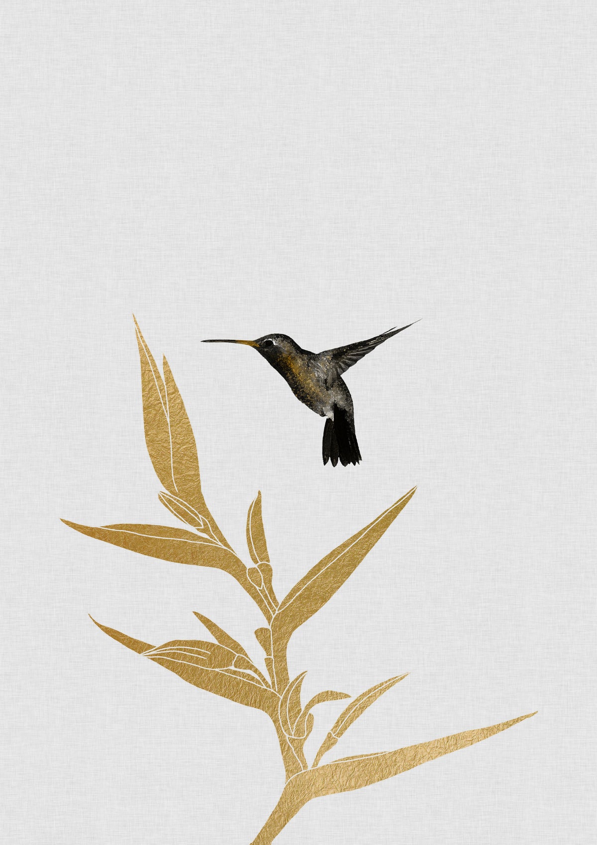 framedcanvas-print-hummingbird-flower-ii