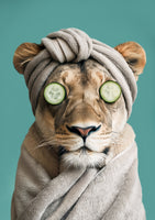 acrylic-print-luxury-lioness