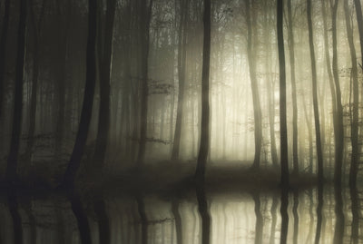 poster-print-absolute-silence