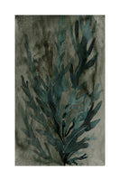 acrylic-print-deepwater-bloom-1