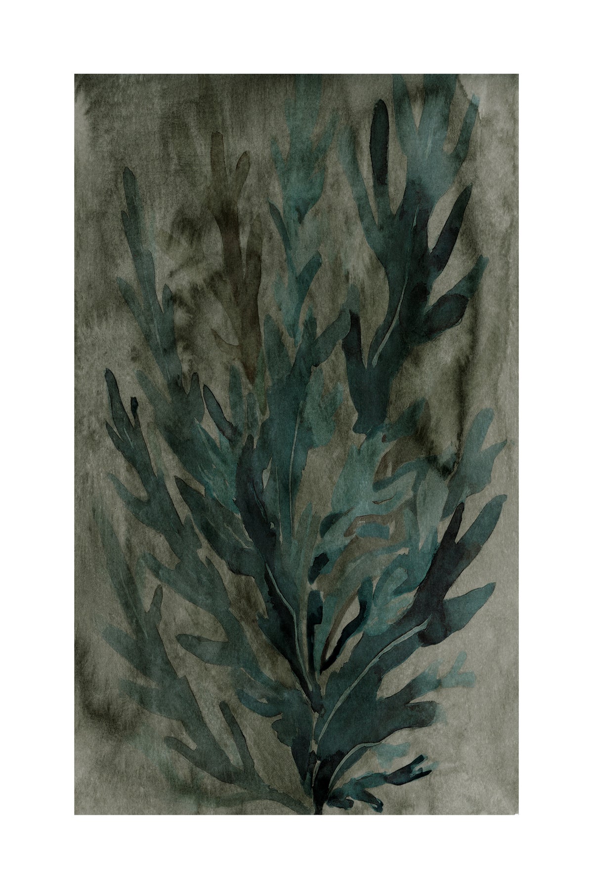 acrylic-print-deepwater-bloom-1
