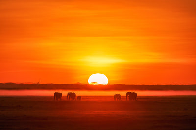 poster-print-africa-impression-x