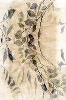 framedposter-print-colour-washed-leaves-no3