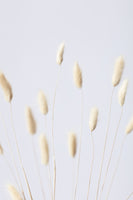 poster-print-bunny-grass-no-3-2