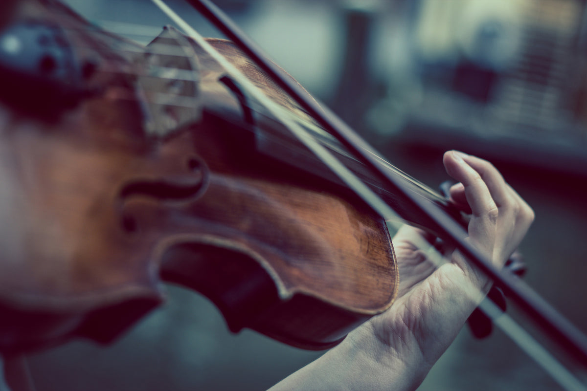 acrylic-print-violin