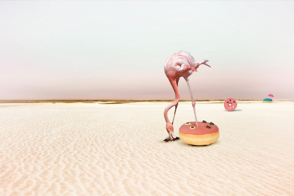framedcanvas-print-donutbeach-x
