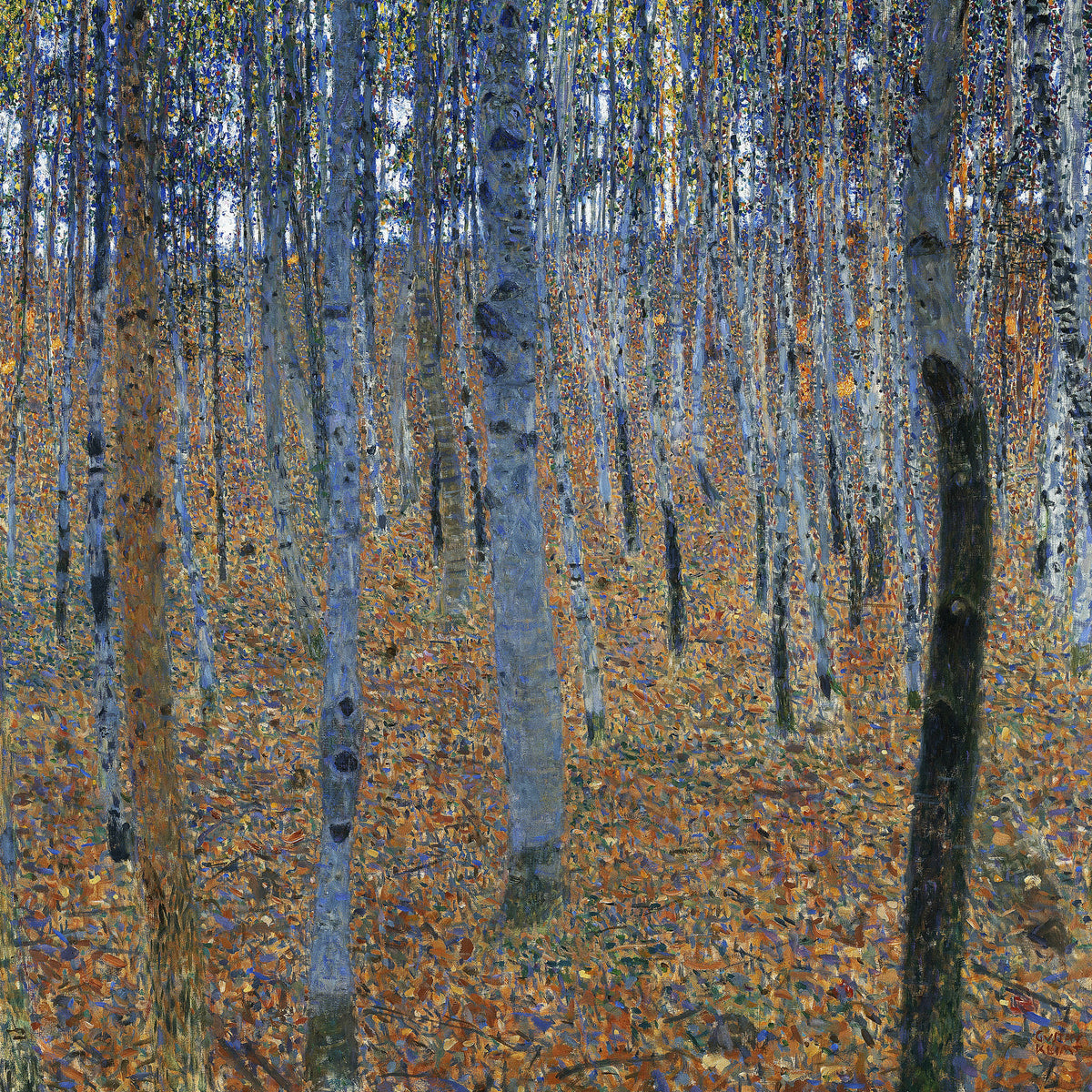 acrylic-print-beech-grove-i-1902