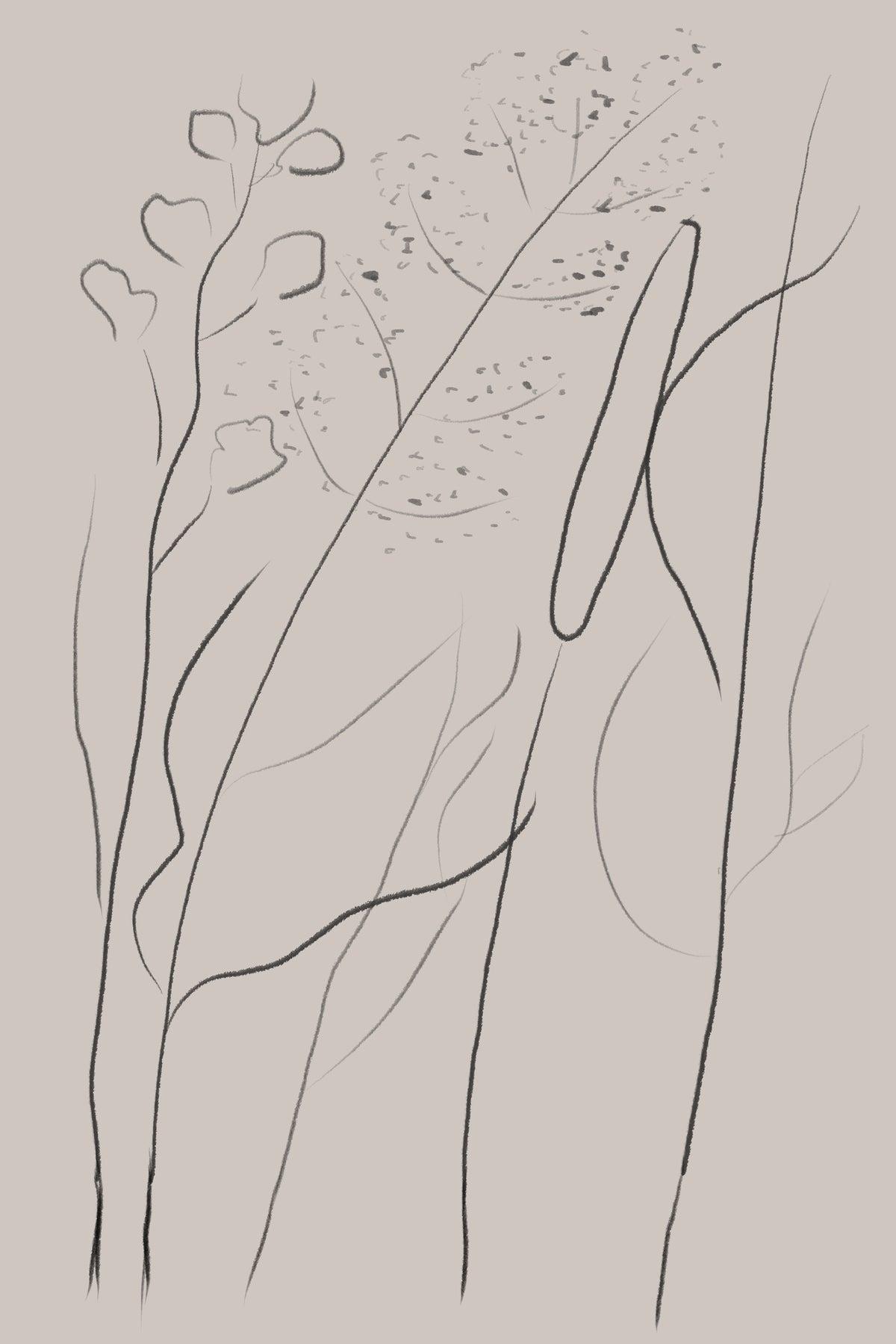 framedposter-print-modern-line-art-plant