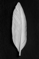 canvas-print-feather-008