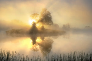 acrylic-print-light-3