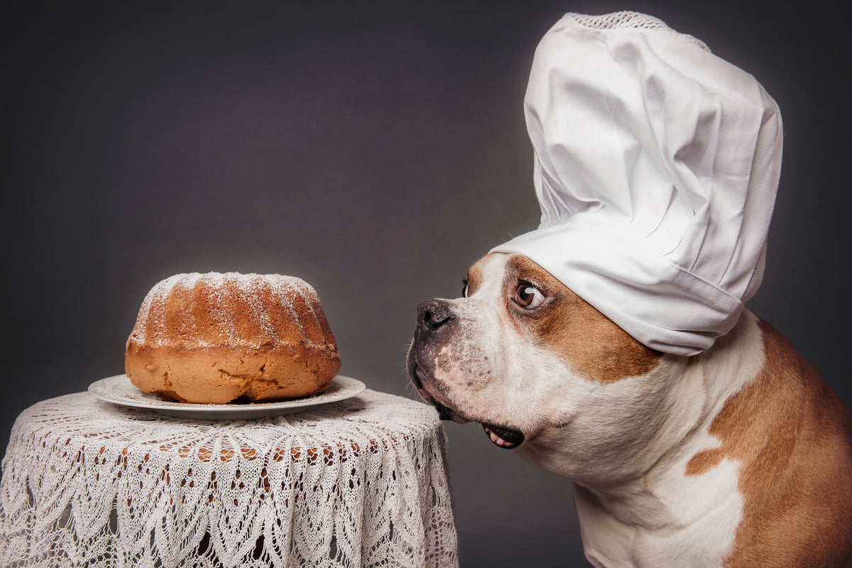 framedposter-print-the-confectioner-and-his-masterpiece-x