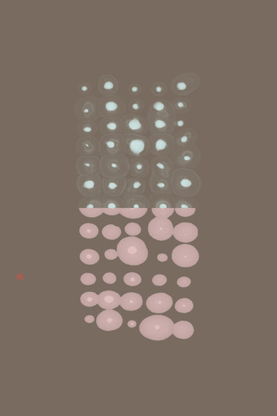 poster-print-test-series