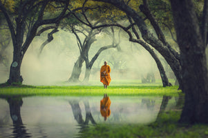 poster-print-monk-hike-in-the-deep-forest
