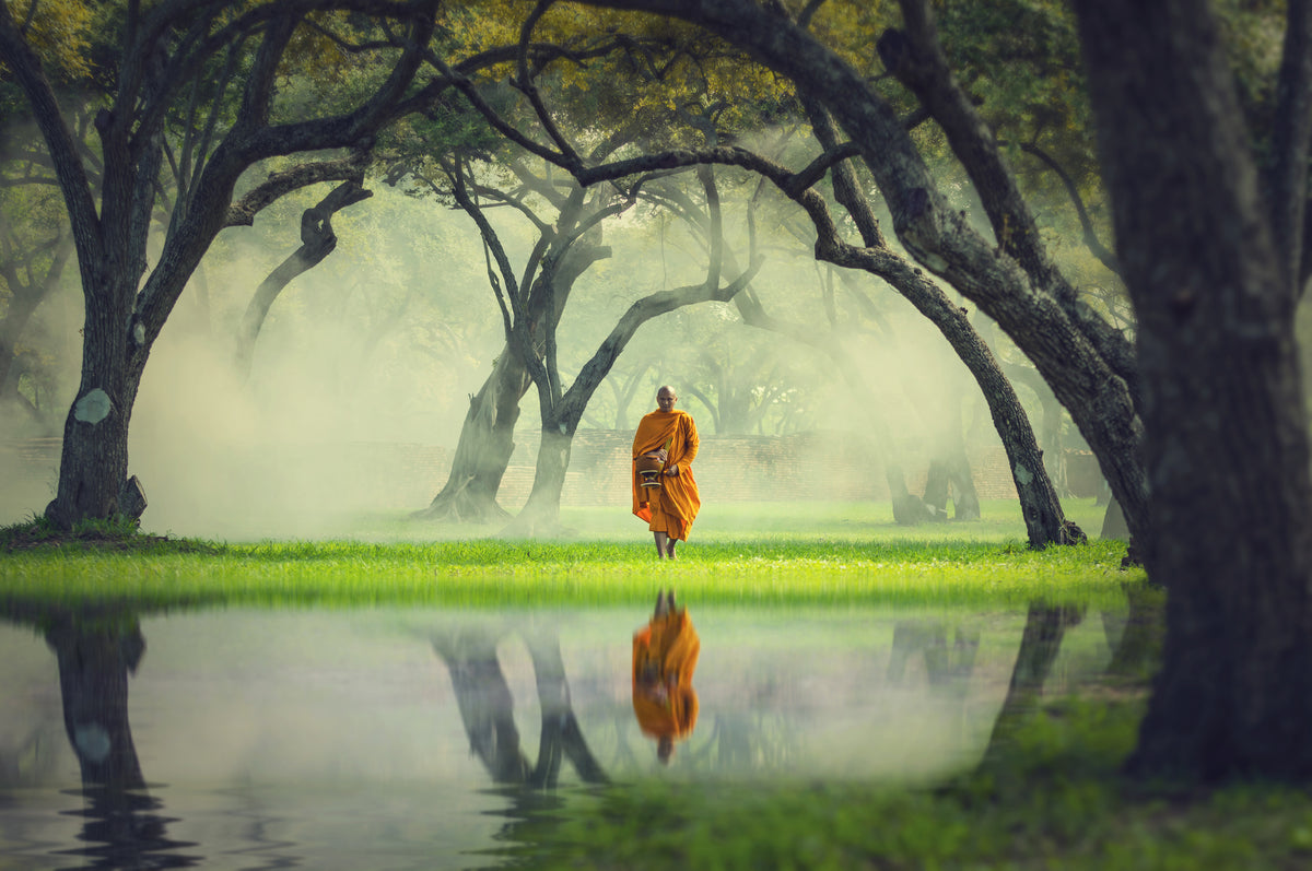 poster-print-monk-hike-in-the-deep-forest