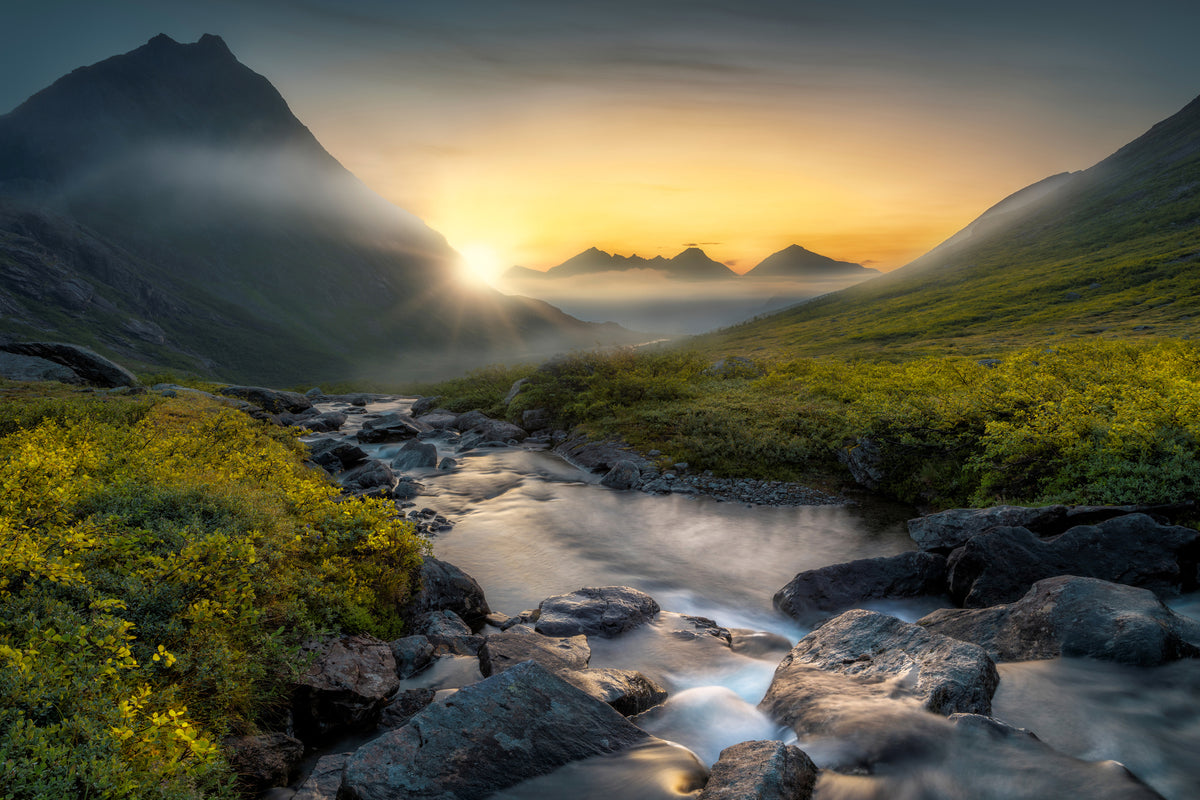 canvas-print-dreaming-x