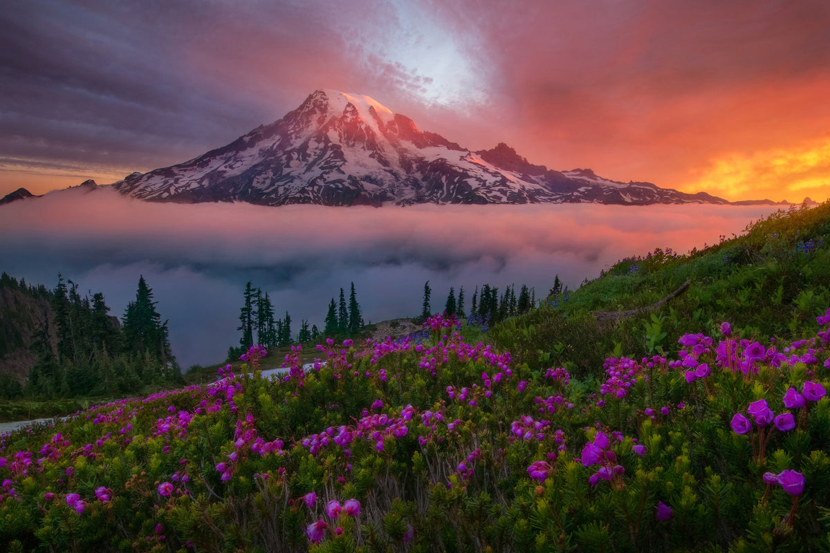3-piece-canvas-print-a-moment-in-time