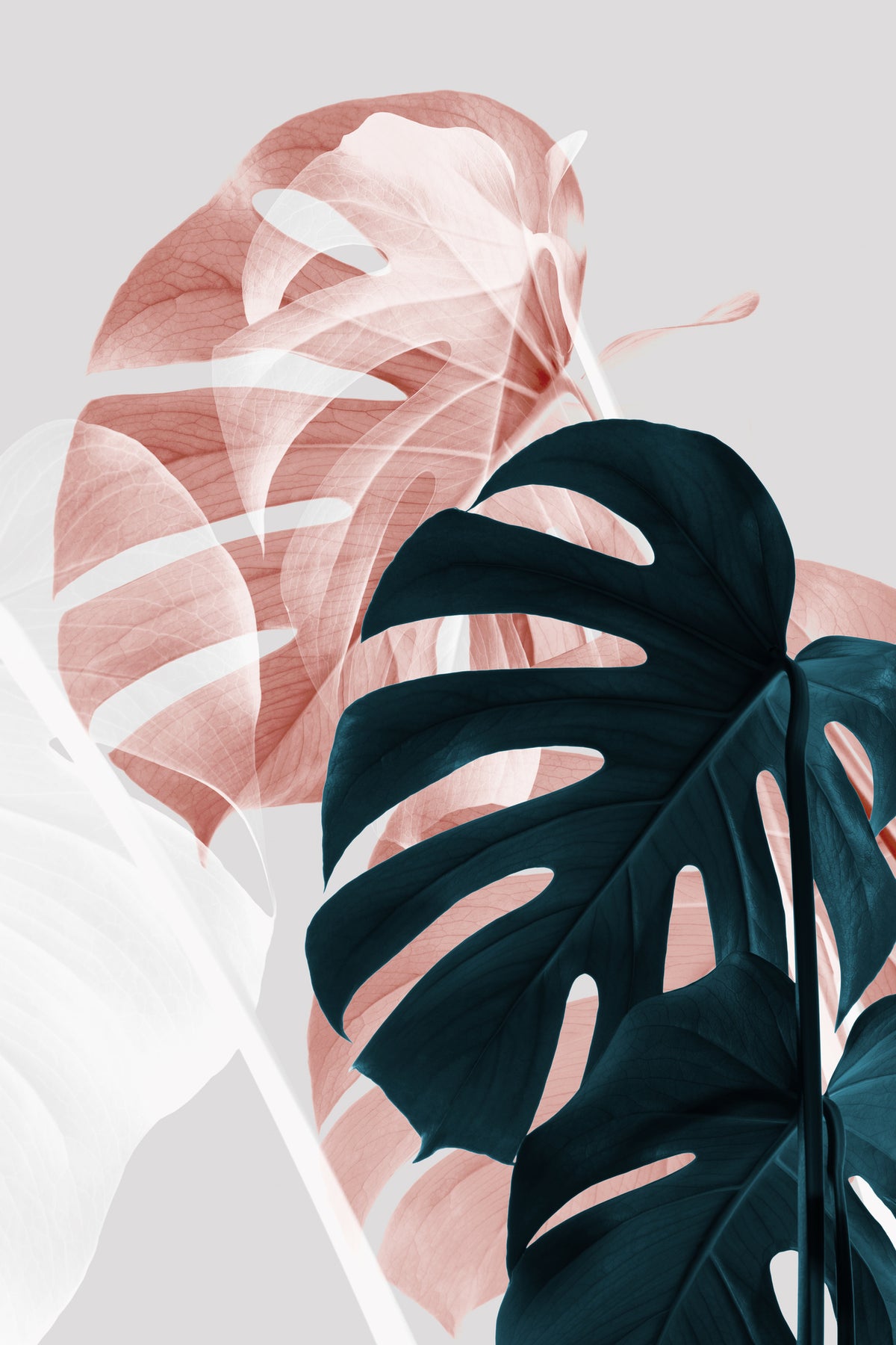 canvas-print-monstera-creative-09
