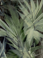 canvas-print-forest-3