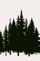 framedcanvas-print-tannenwald-dark