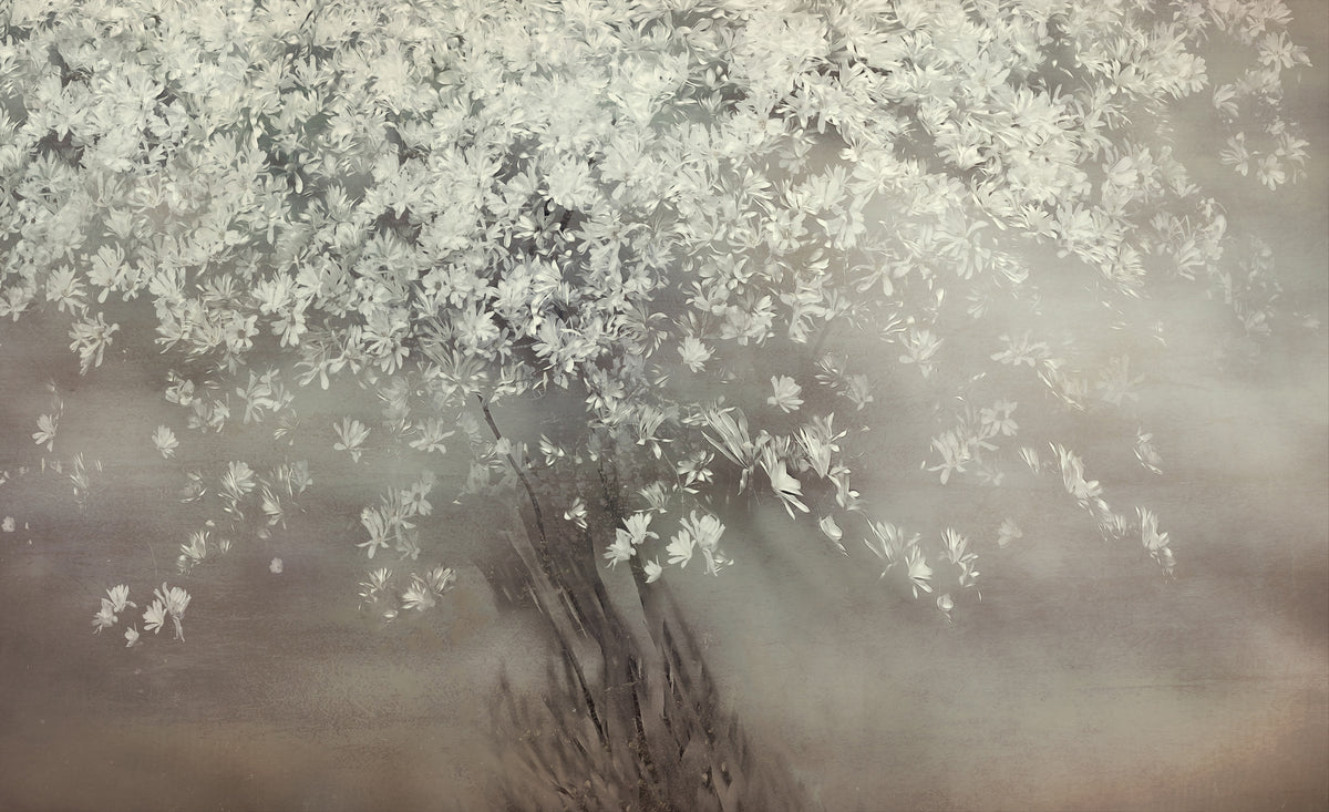 poster-print-stars-of-spring