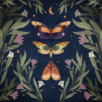acrylic-print-moth-nocturne