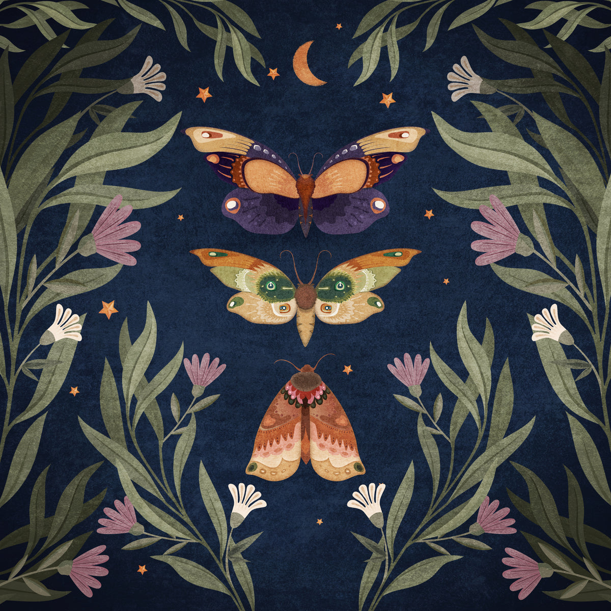 acrylic-print-moth-nocturne