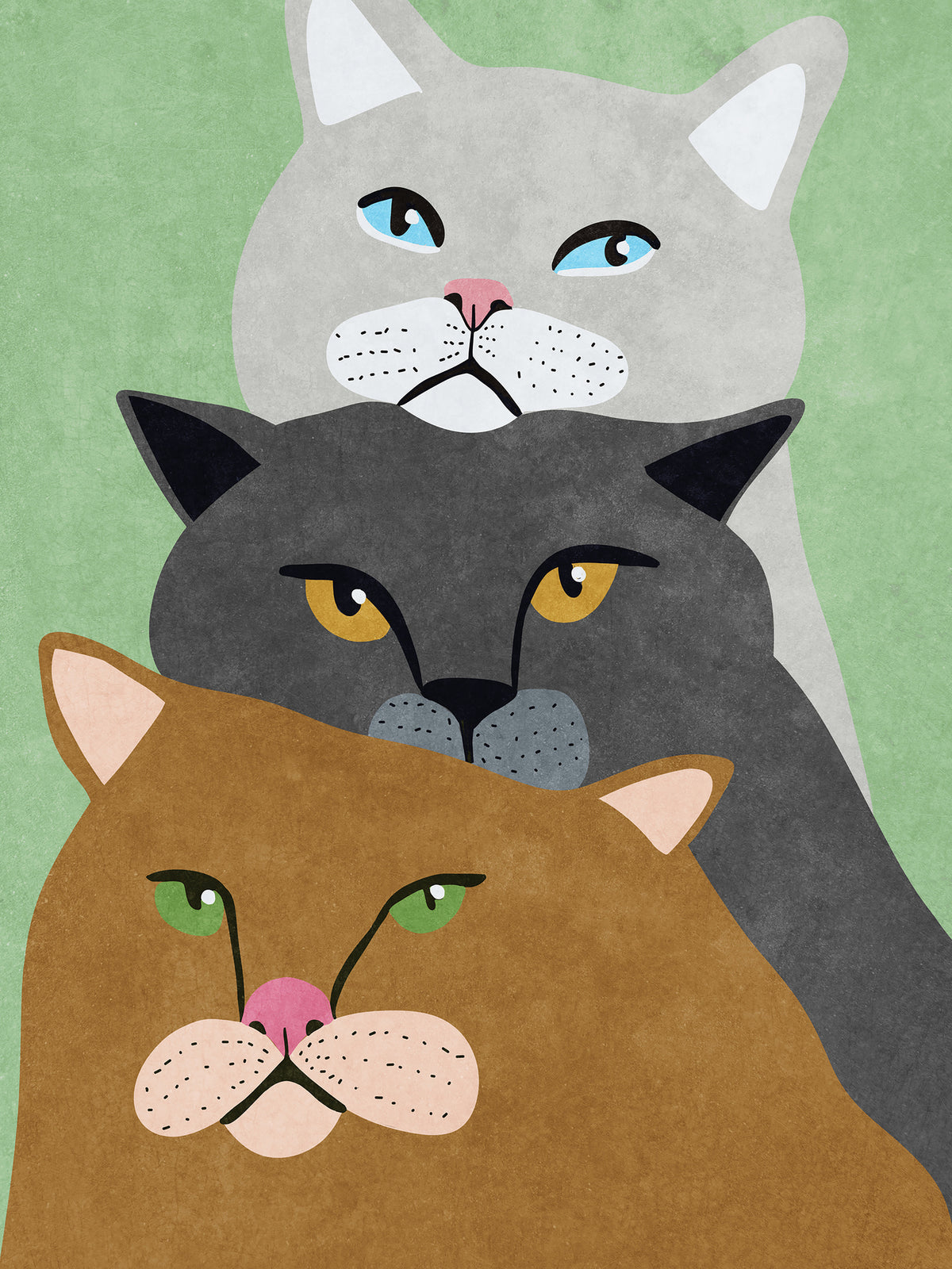 acrylic-print-cat-trio