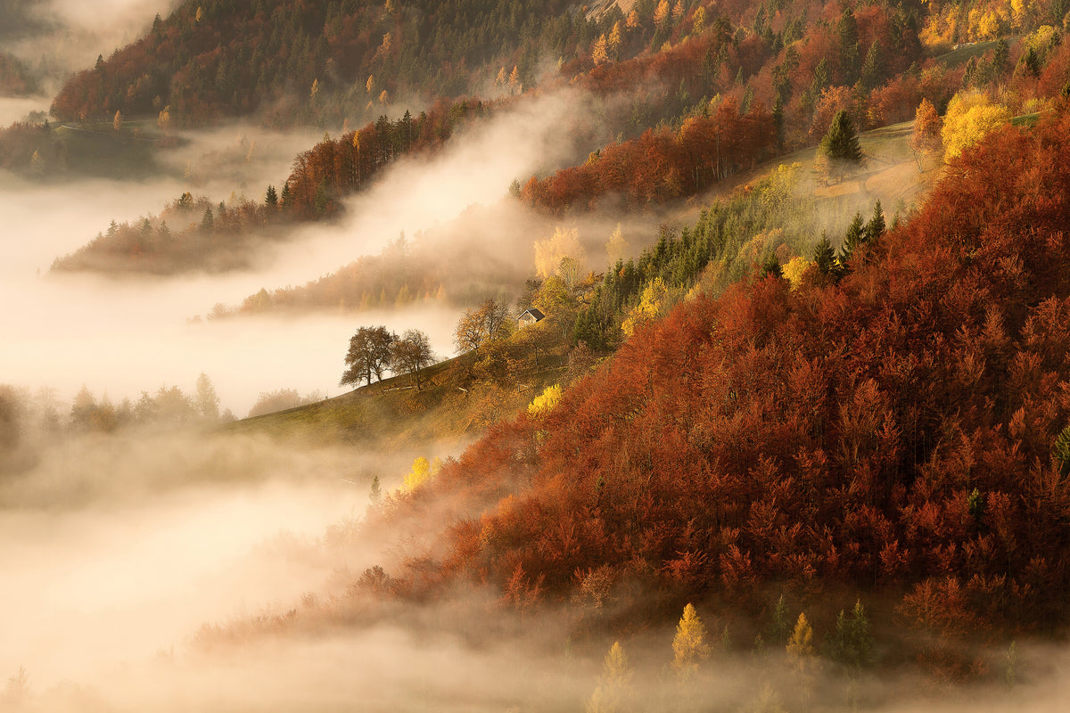 aluminium-print-novembers-fog-x