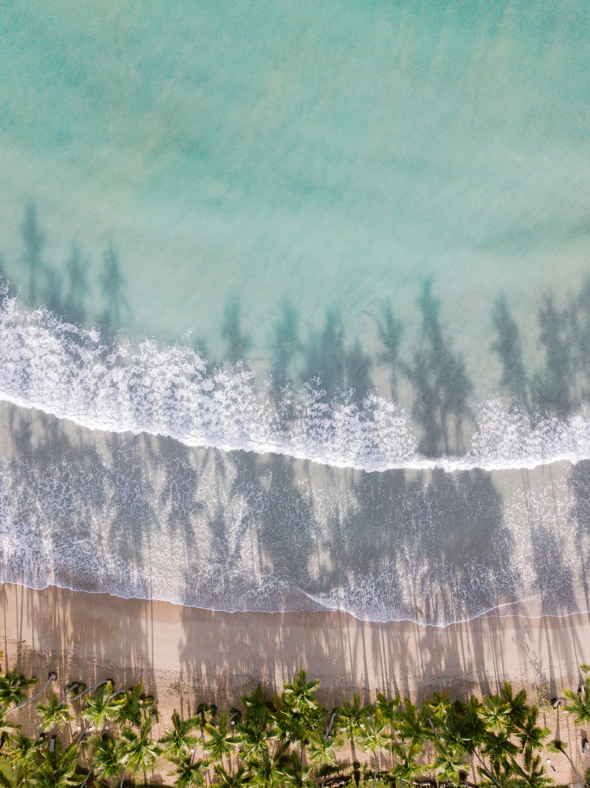aluminium-print-to-the-beach