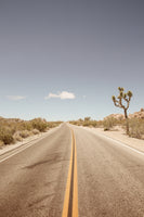 canvas-print-deserted-highway