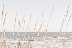 canvas-print-beach-vass-002