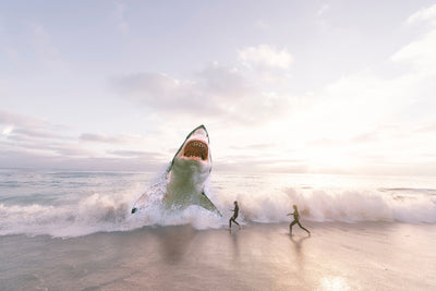 poster-print-beware-shark