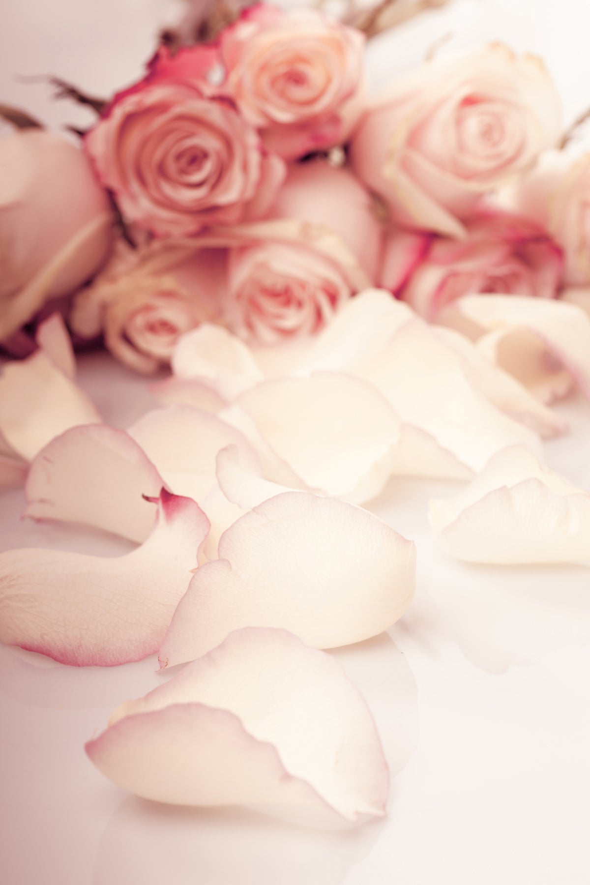 framedcanvas-print-soft-rose-petals