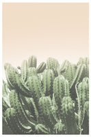 canvas-print-deserts-embrace