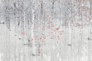 poster-print-red-a-white-x