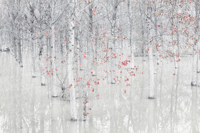 poster-print-red-a-white-x