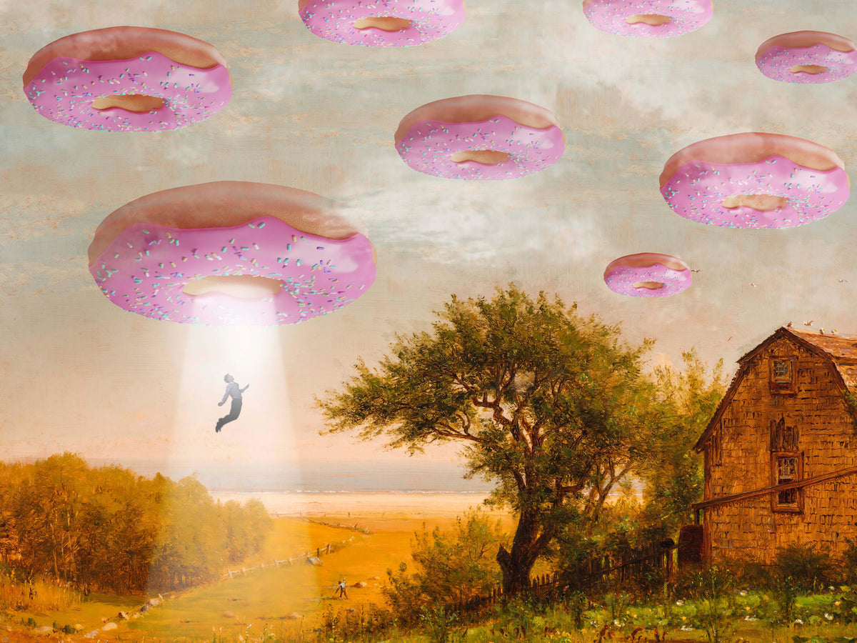 framedcanvas-print-donut-invasion