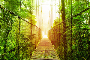 framedcanvas-print-suspension-bridge