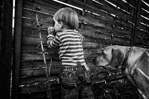 aluminium-print-the-world-from-behind-the-fence-x