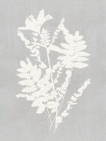 framedcanvas-print-botanical-illustration-5