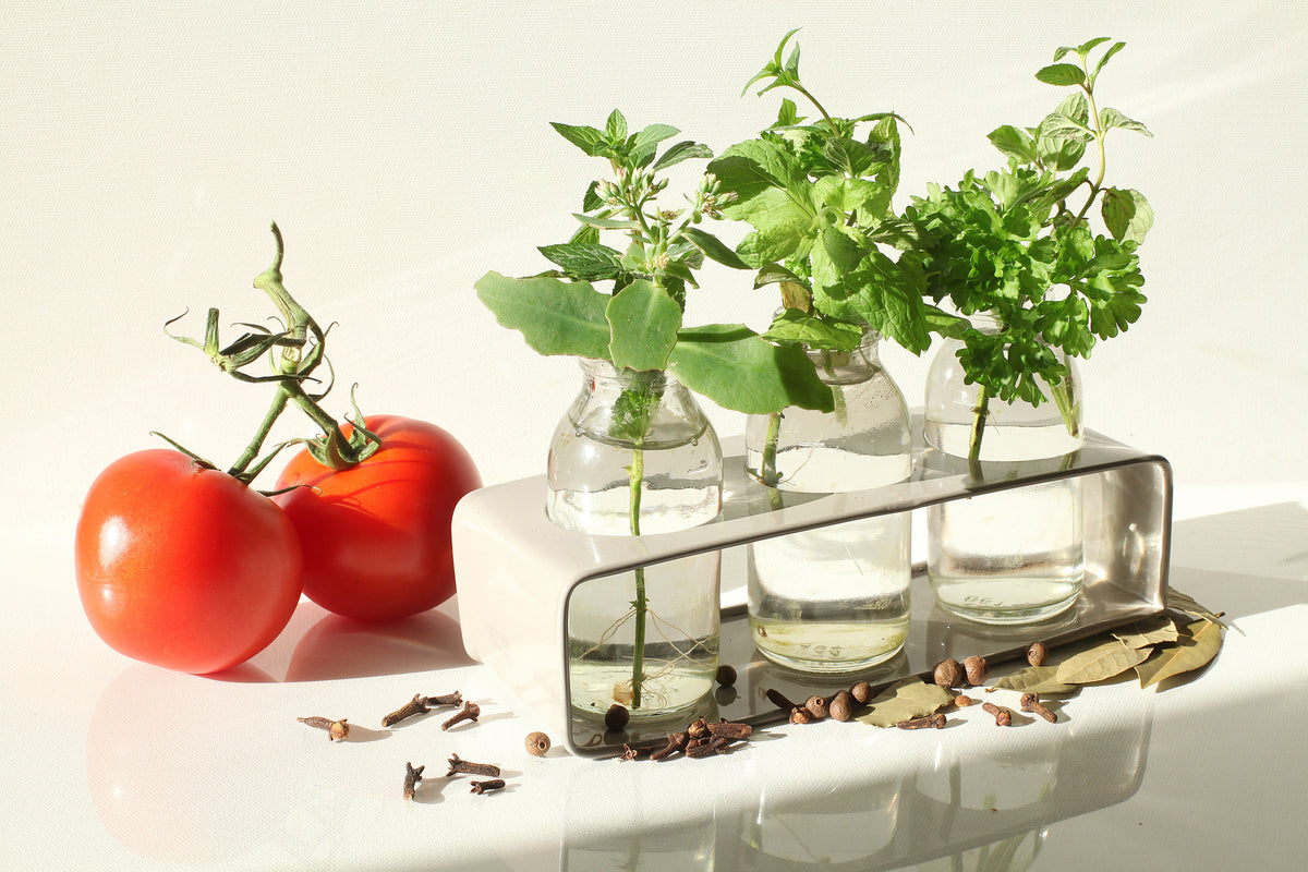 modern-3-piece-acrylic-print-tomatoes-and-herbs