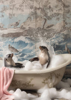 poster-print-splashing-seals