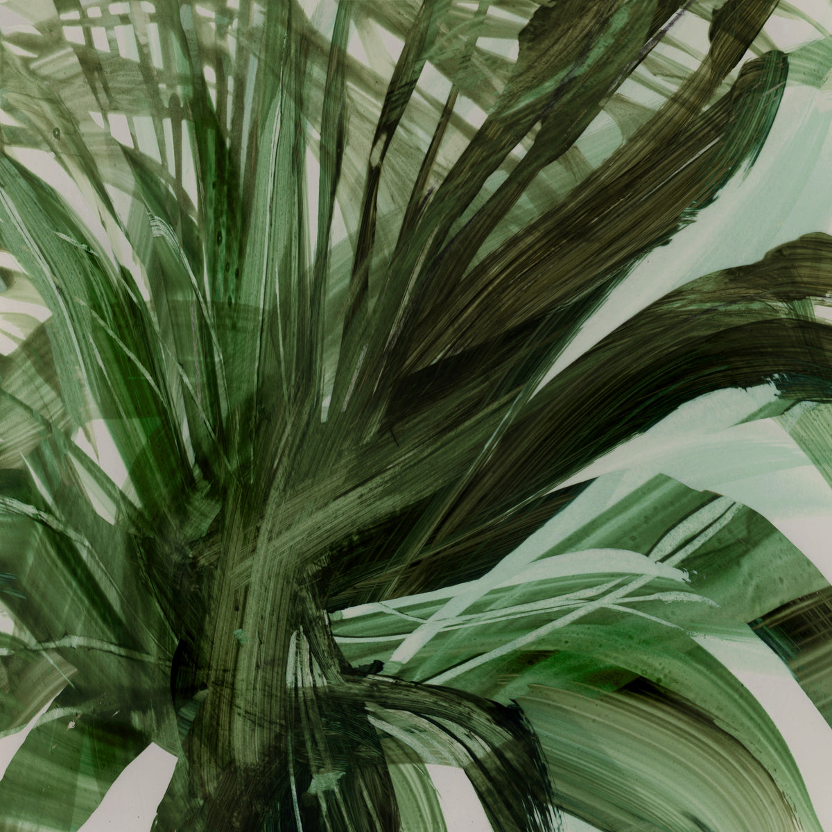 acrylic-print-palms