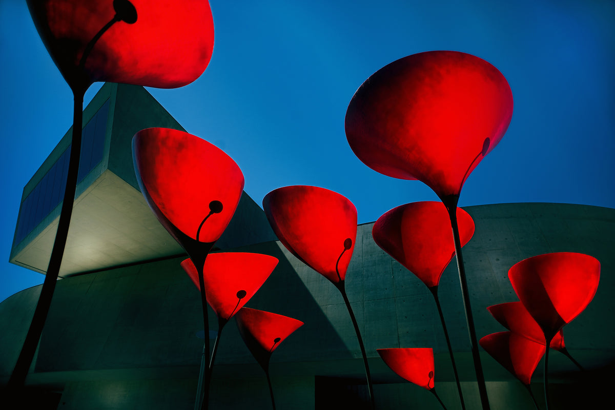 acrylic-print-maxxi-museum-x