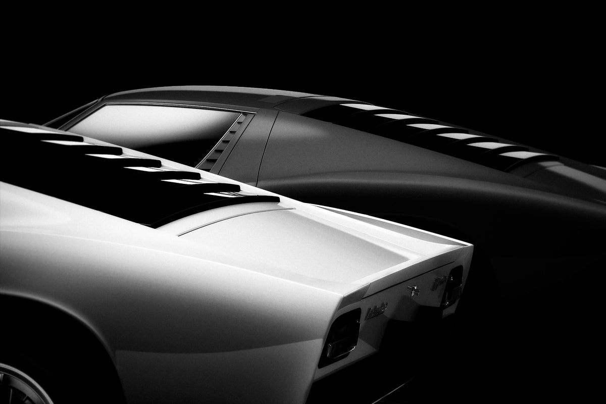framedcanvas-print-2-miura-x