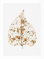 framedposter-print-autumns-whisper