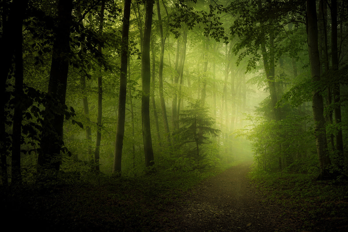 canvas-print-spring-secret-x