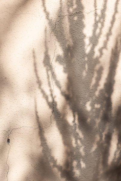 poster-print-summer-shadows-7