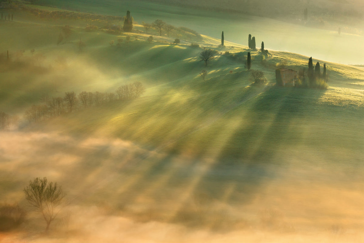 canvas-print-mist-x